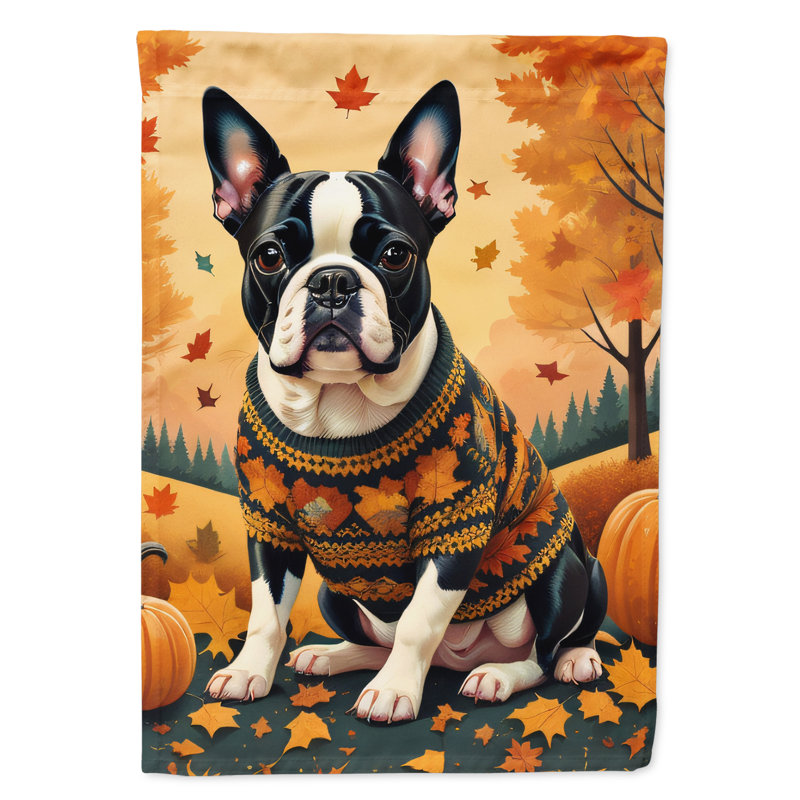 Drapeau de Boston Boston Terrier