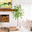 Artificial Maple Tree-2077628297