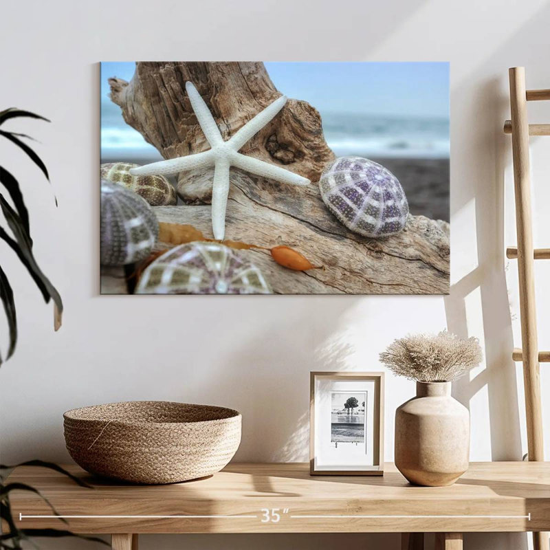 White crescent beach shells vii Aletra, H 16 po x l 24 po