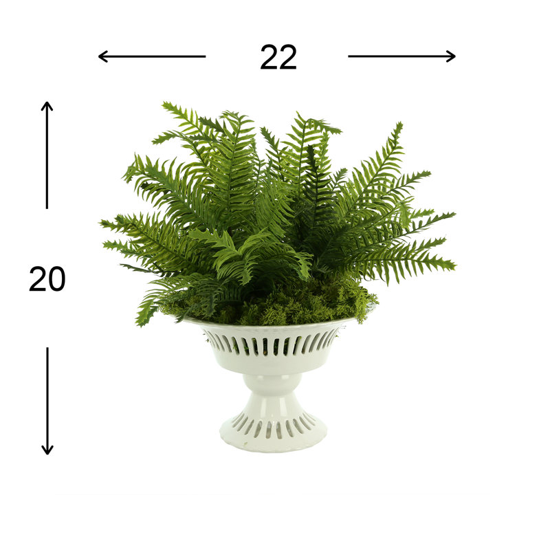 Boston Fern and Moss Arranged in Ceramic Vase