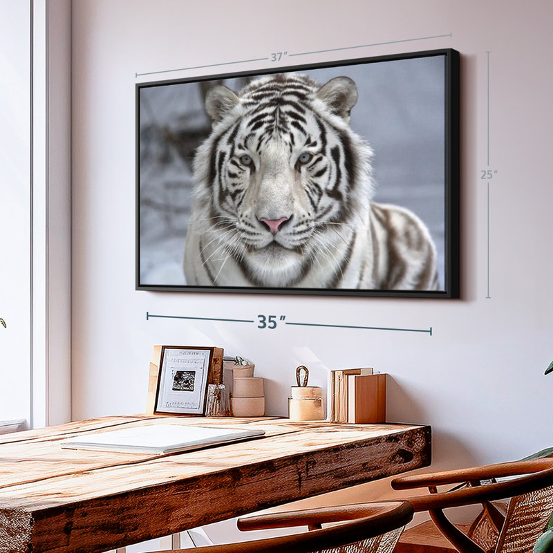 " Endangered White Tiger Canvas Print ", 25" H x 37" W
