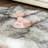 Neev Indoor Rug-977849414