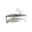 Dino Glass Top Coffee Table-57820462-59512312