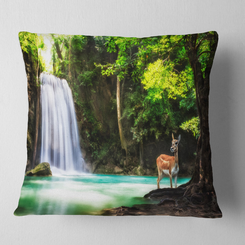 Coussin Schafer, 16 po x 1 po, Coussin décoratif