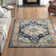 Bailes Oriental Area Rug