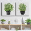 «Herb Garden I», ensemble de 2 reproductions d'art sur toile tendue-629230385