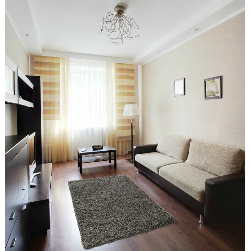 Aanuoluwa Rectangle 60 cm x 220 cm Shag Indoor / Outdoor
