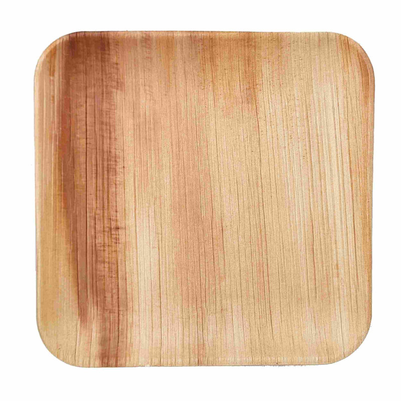 Disposable Birthday Dinner Plate