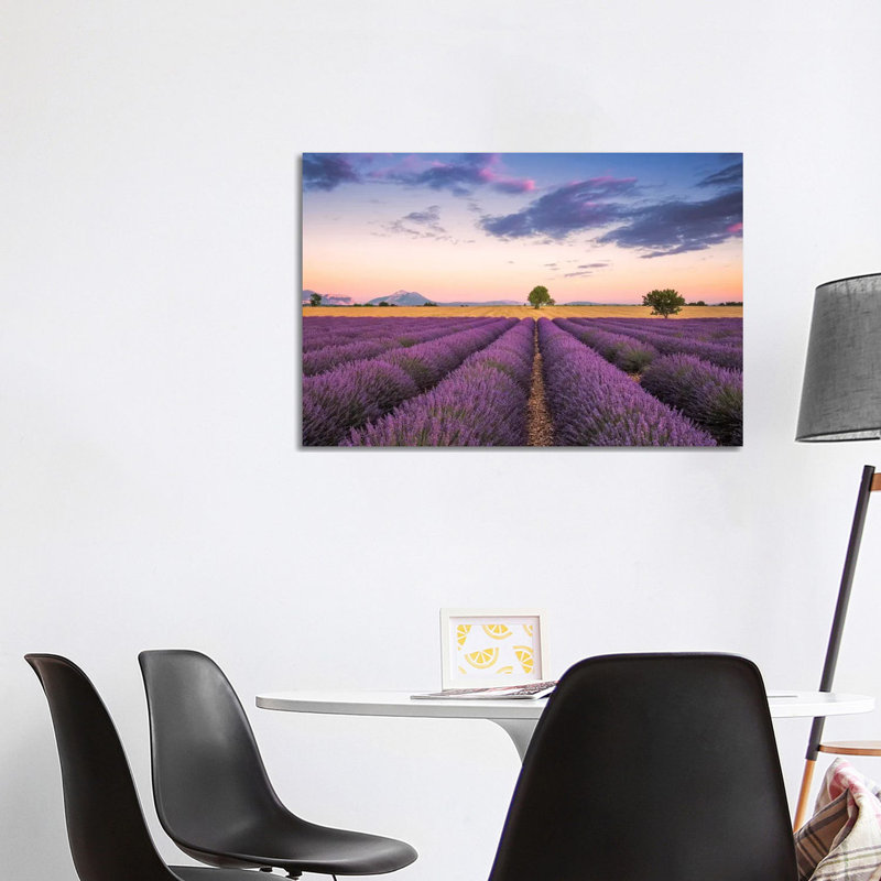 Valensole Sunset, Provence, France by Jim Nilsen - Wrapped Canvas Print, 101.6 cm H x 66.04 cm W