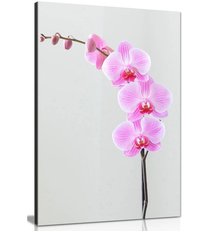 Orchid Flowers - Wrapped Canvas Print, 76cm H x 51cm W