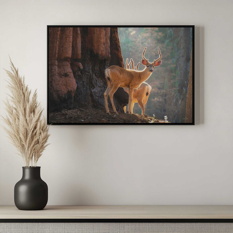 «Deer at the séquoias II» par Martin Podt, reproduction d'art, L 48 x H 32, Blanc, Toile avec cadre