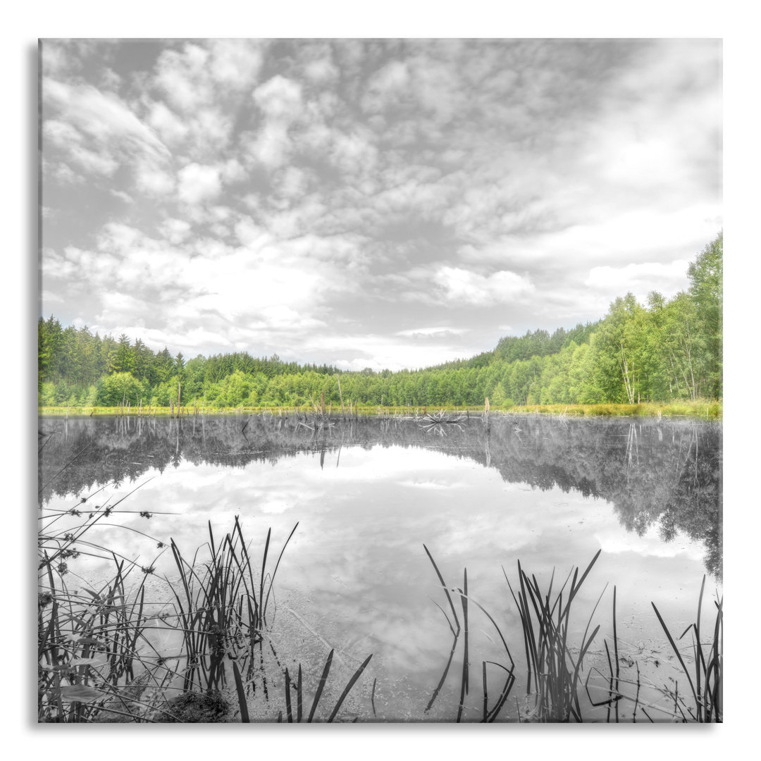 Ungerahmtes Foto auf Glas "Beautiful Lake in a Green Forest"