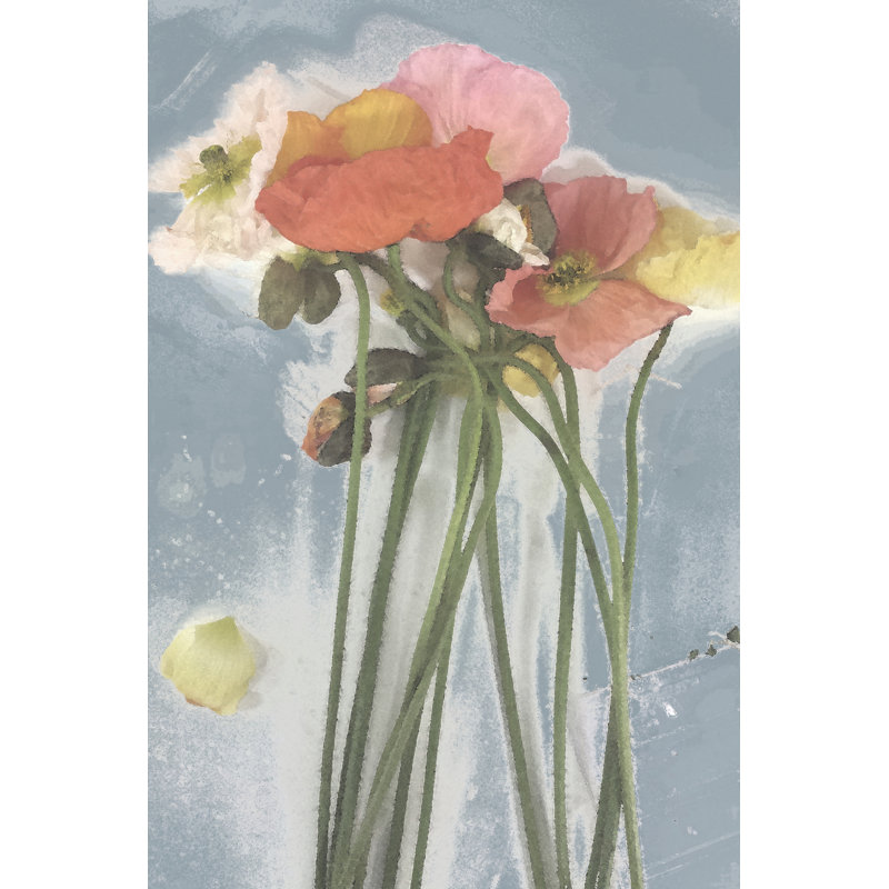 Poppy Spray I by Jennifer Goldberger - Wrapped Canvas Painting, 91cm H x 61cm W x 3.8cm D