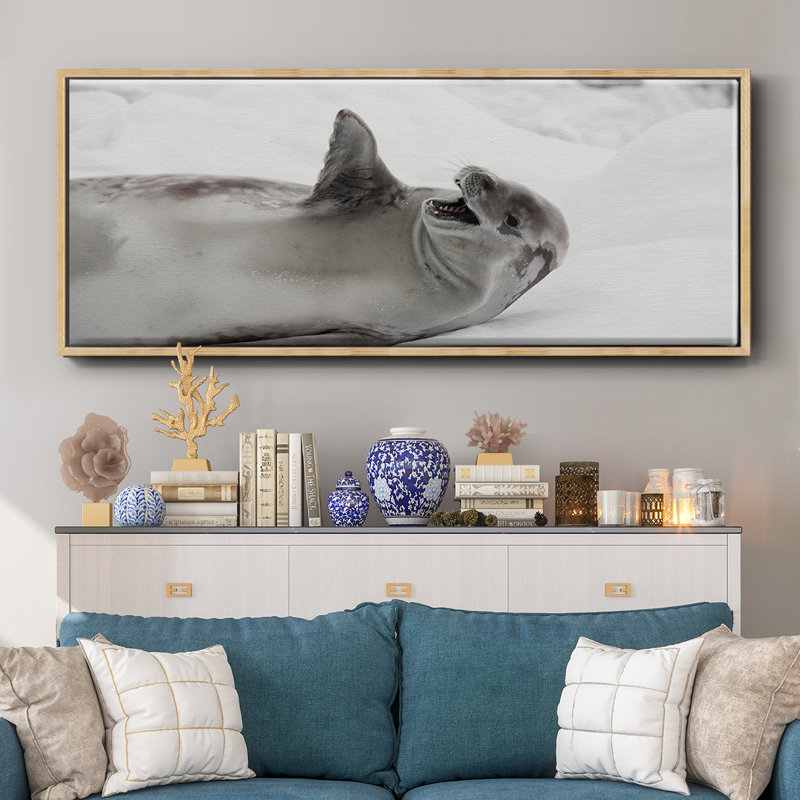 Laughing Seal- Framed Canvas