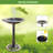 Armance Resin Single Tier Birdbath-81233943