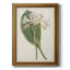Antique Botanical Collection IV - reproduction d'art sur toile encadrée-1327999095