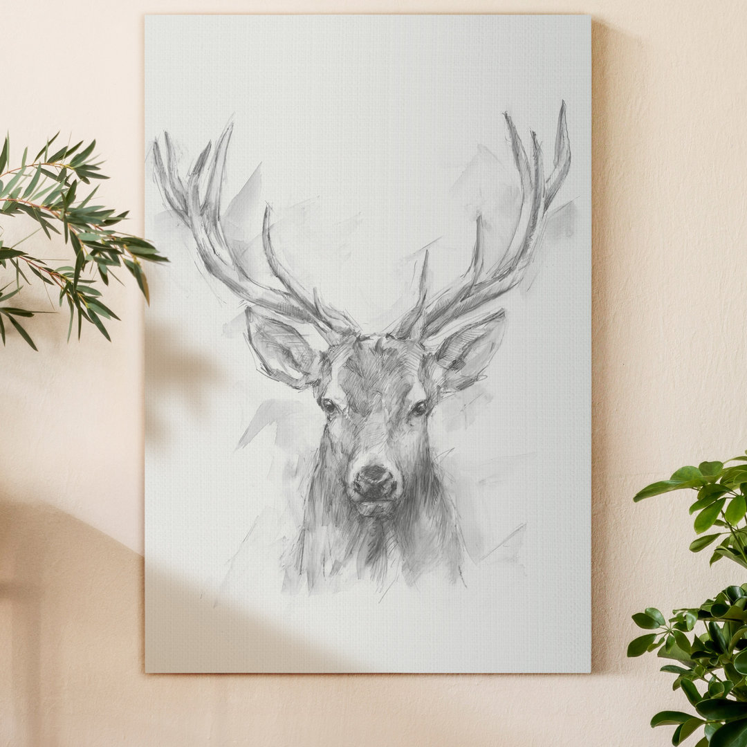 'Contemporary Elk Sketch I' - Wrapped Canvas Painting Print Millwood Pines 