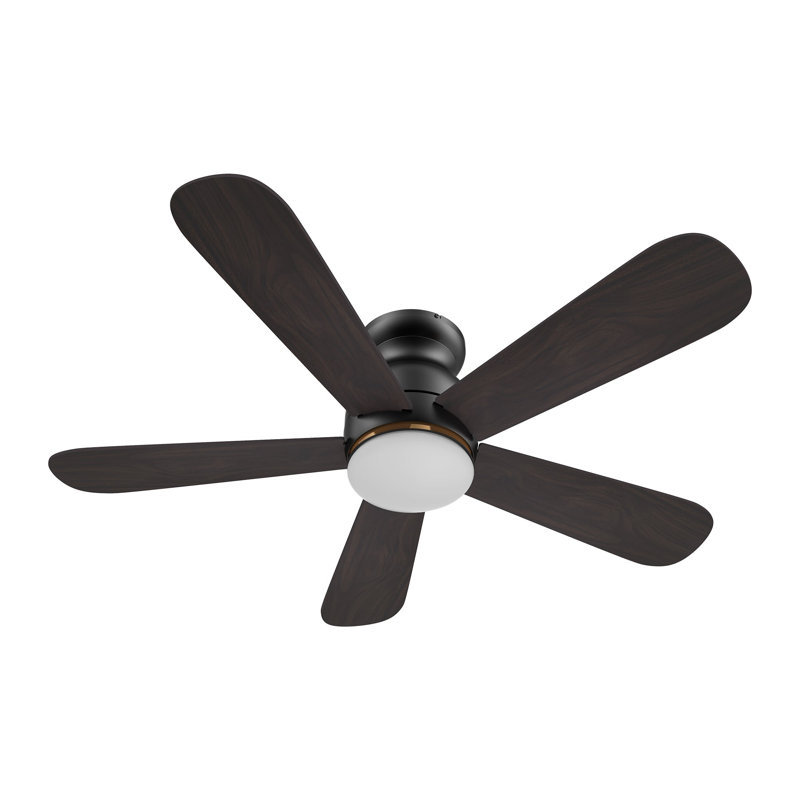 Ventilateur de plafond intelligent Dubois avec télécommande, ensemble d'éclairage inclus, fonctionne avec l'assistant Google et Amazon Alexa, raccourci Siri.
