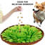 Tapis interactif pour animaux-119701754