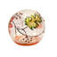  Autumn Leaf LED Light Up Orb