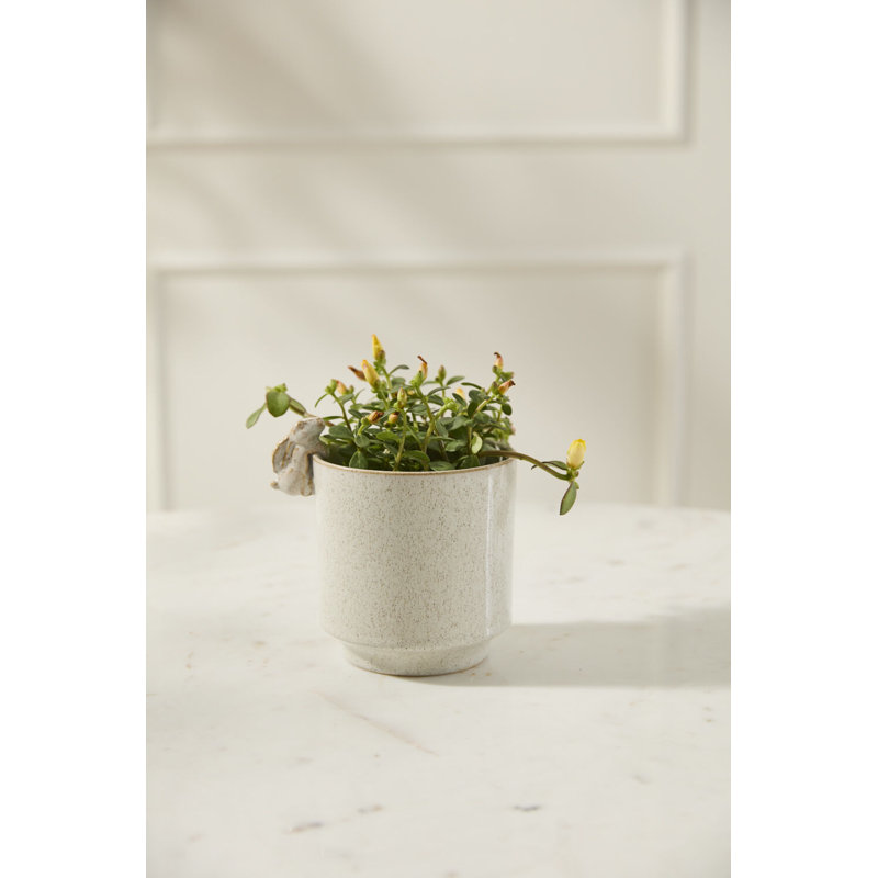 Sneaky Bunny Pot