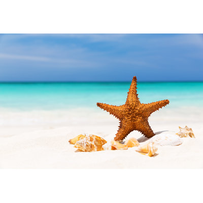 Étoile de mer sur la plage par Preto_Perola - Photographie sur toile tendue