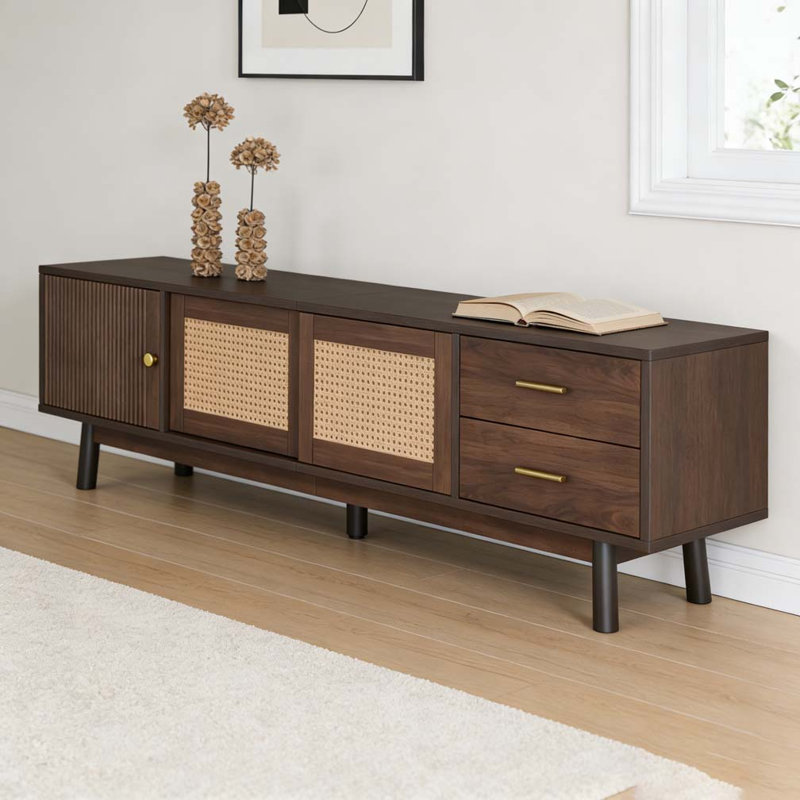 Modern TV Stand for 80" TVs