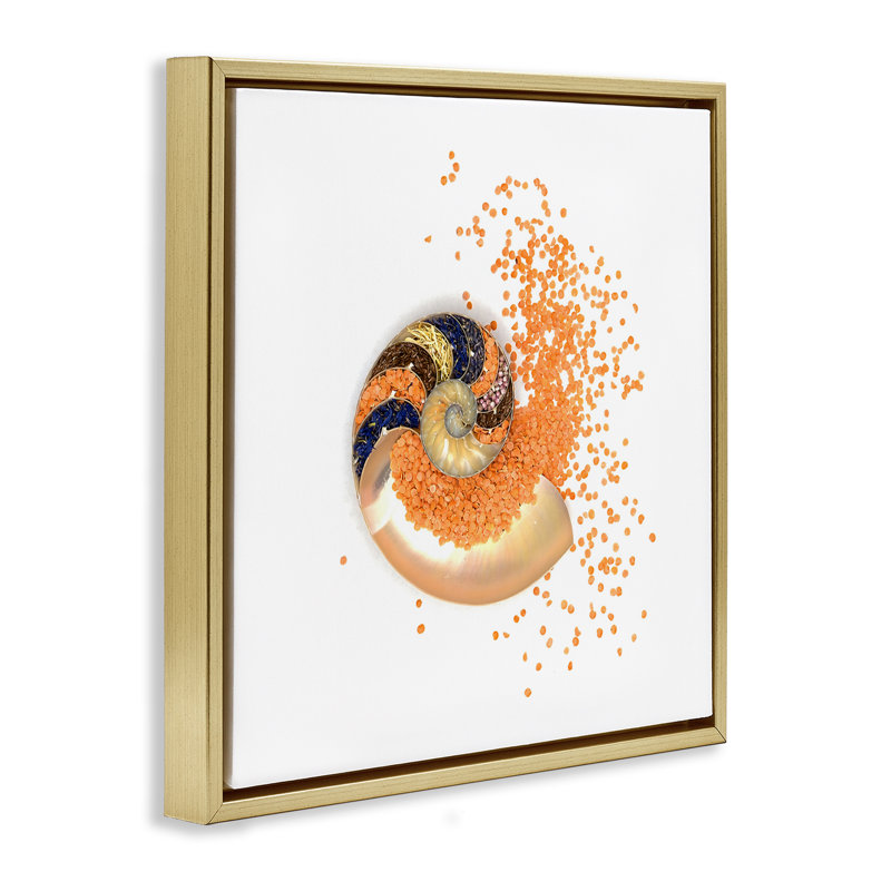 Cadre flottant en spirale orange Nautilus, design par Beth Adoette, Cadre flottant métallique doré, H 18 po x l 18 po