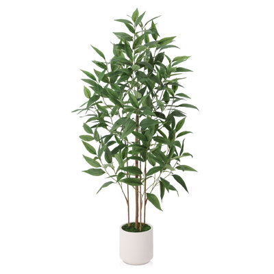 Ashwell 60" Eucalyptus Tree in Planter