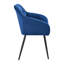 Astare 42 cm H Velvet Armchair-2028327602
