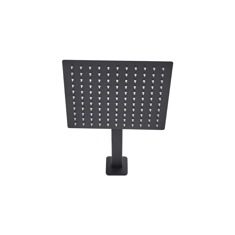Lynelle Mixer Shower with Fixed Showed Head, Black