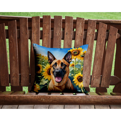 Outdoor Throw Pillow