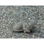 Statue de jardin en fibre d'argile