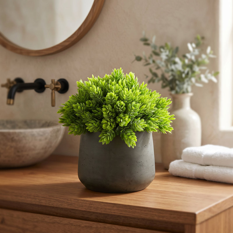 Faux Succulent in Fiberstone Pot, Black