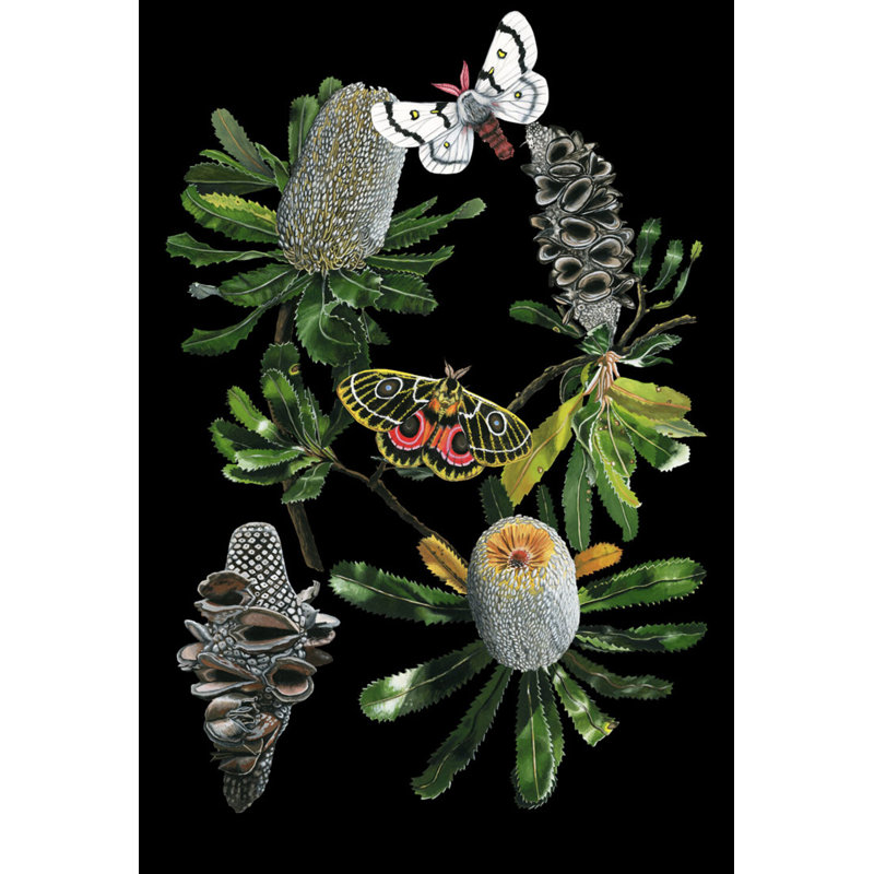 Botany Banksia Chart Print by Thicket Design, 24" H x 18" W
