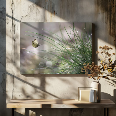 Wrapped Canvas Print