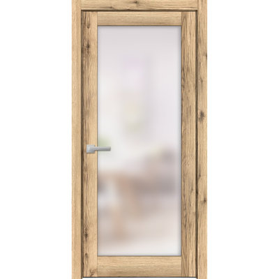 Porte-fenêtre en verre givré massif | Planum 2102 | Poignée simple à panneau régulier | Portes de salle de bain robustes