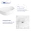 Eridanus 21.6mm L x 16.1mm W Vitreous China Oval Sink