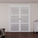 Paneled Manufactured Wood and Glass Pivot-French Door With Installation Hardware Kit