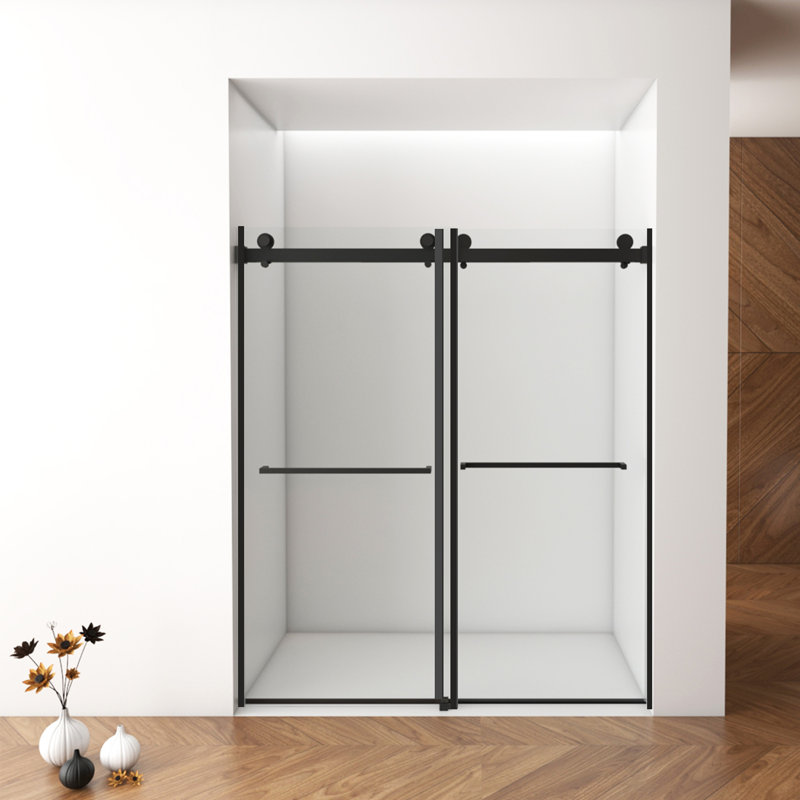Frameless Shower Door