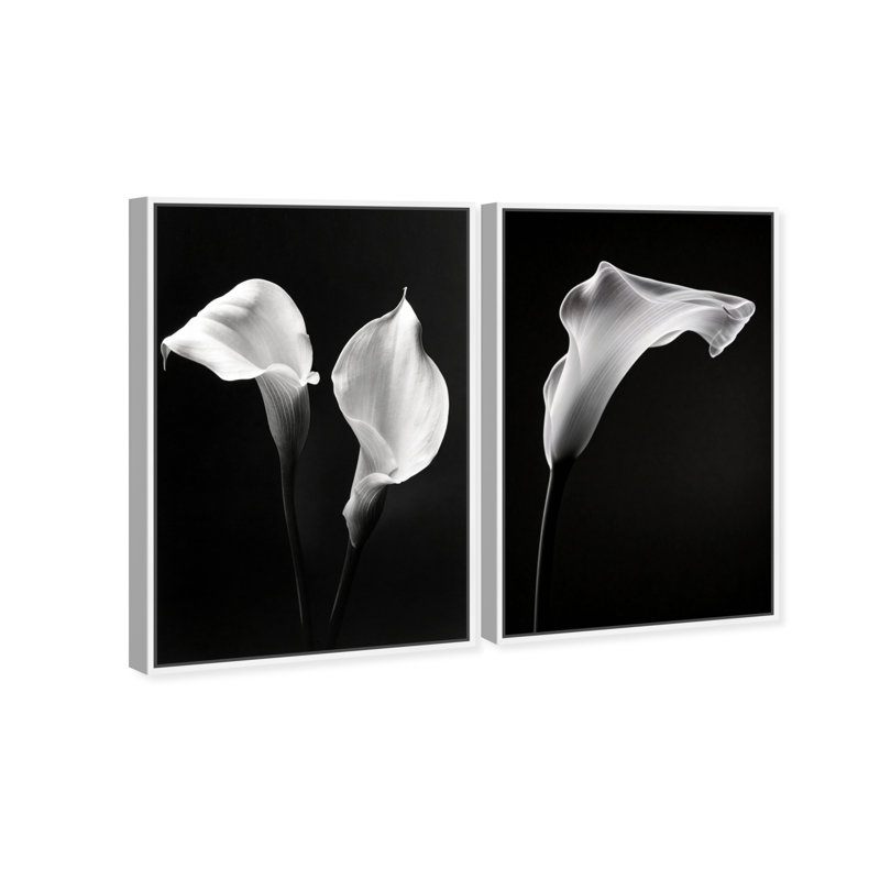Calla Lily Set Set by Oliver Gal, 31" H x 21" W, White Floater Frame