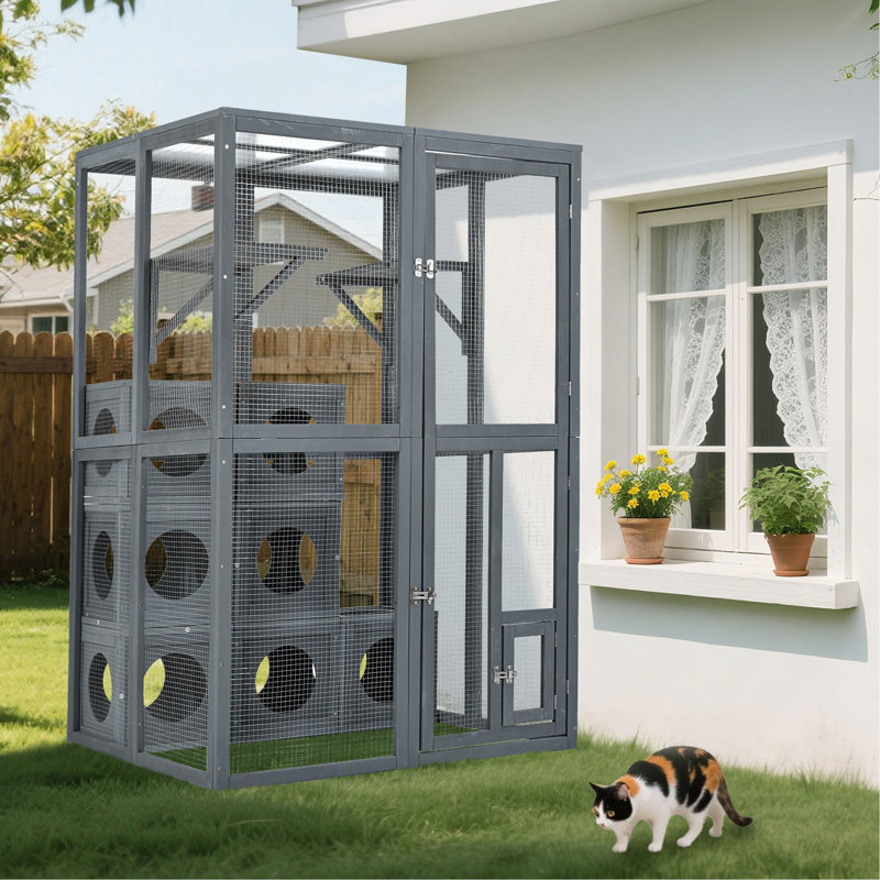 Tablettes d'extérieur pour chat Catio