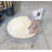 Triceratops Dinosaur Egg Hatching Statue