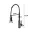 Belfry Kitchen Nolhan Pull Down Kitchen Faucet-9428214