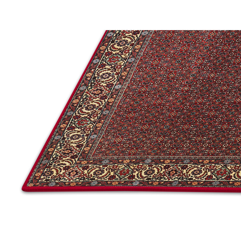 Tapis rouge/brun/beige traditionnel, Rectangle 5 pi x 8 pi