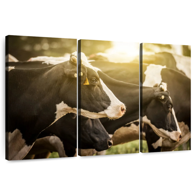 Brampt Holsteins Cows, 36" H x 57" W