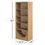 Higgs Bookcase-874438406