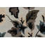 Tapis ivoire Noell