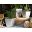 Asraa Pot Planter-3567495