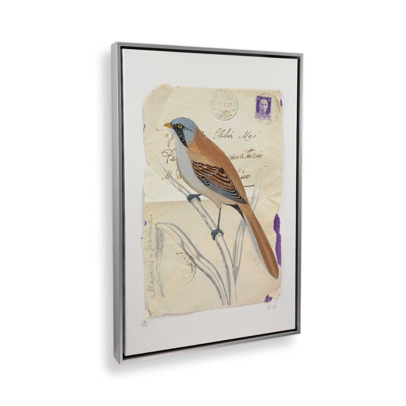 Reproduction d'art «Beardy Tit» par Deborah Revell, H 48 po x l 36 po, Cadre flottant, Argent argent